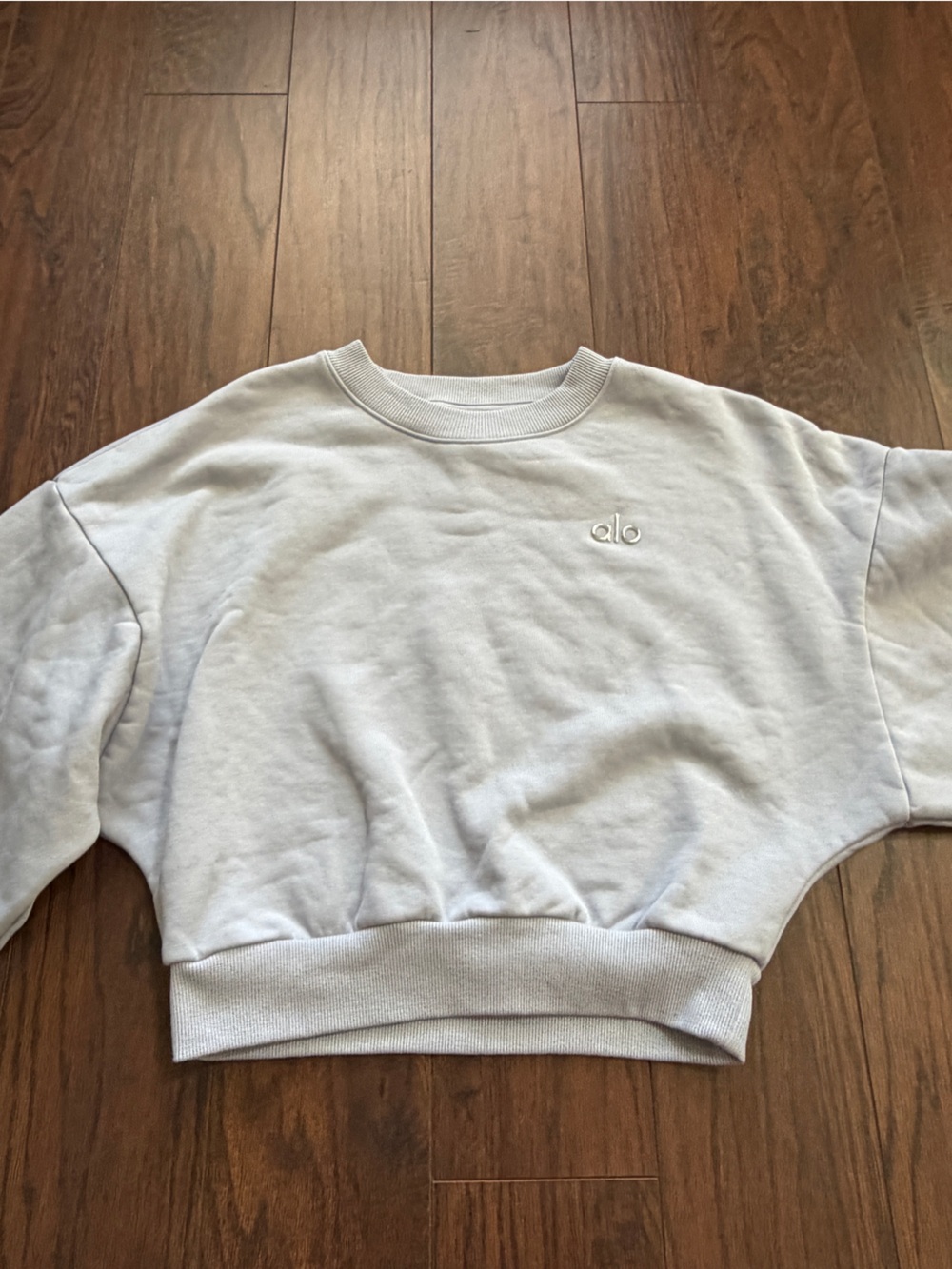 ALO Yoga Men's Crewneck Sweatshirt in Pale Gray - Picture 4 of 5